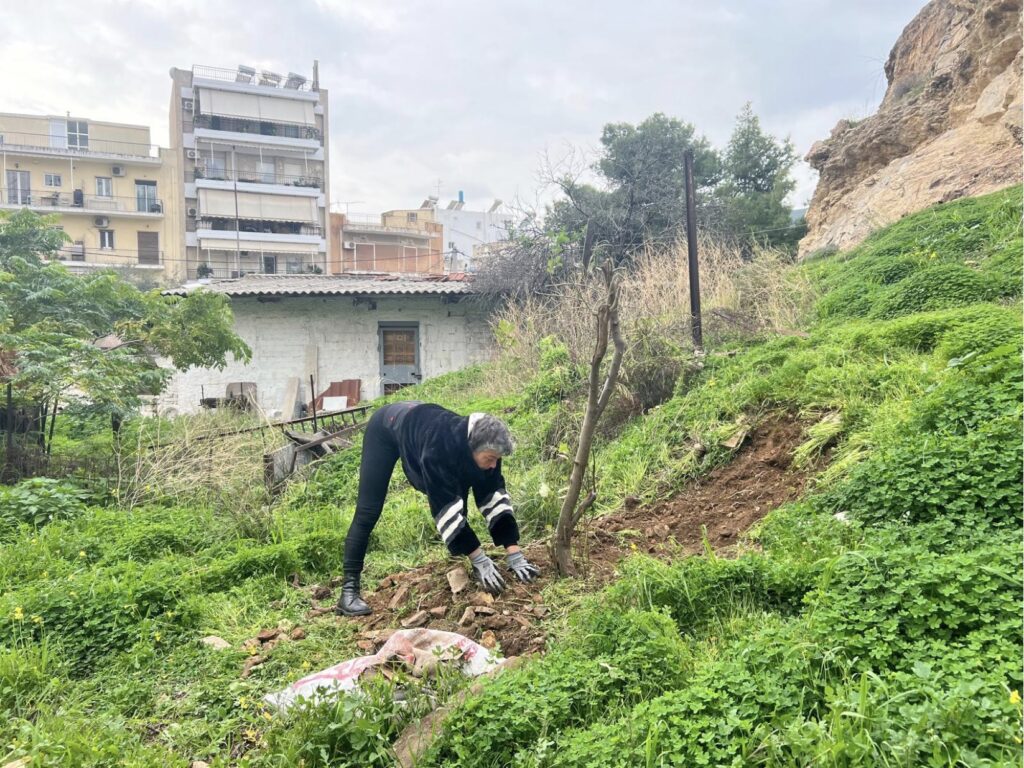 Ecological Practice: From Balcony Ecosystem to Living Landscapes