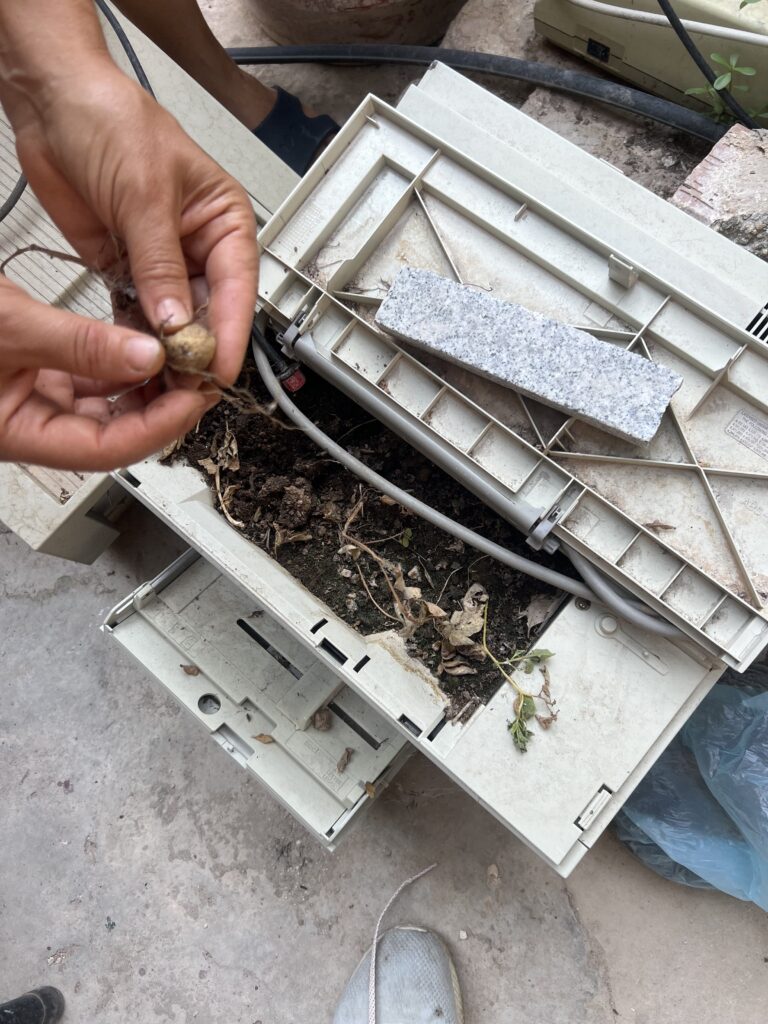 PPP – Printers + Potatoes = PLA